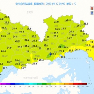 拿起手机，赶紧预约！周末自驾去大鹏，这件事必须做……