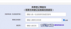 深圳商事主体登记及备案信息查询入口