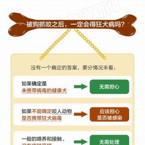 深圳可接种狂犬疫苗门诊一览表