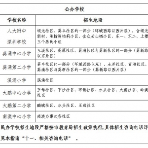 2021大鹏小一初一学位申请招生计划及学区划分