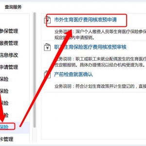 深圳市外生育医疗费用核准预申请流程