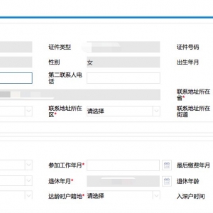 深圳企业职工基本养老金网上申请流程