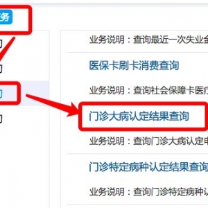 深圳医保门诊大病认定结果如何查询