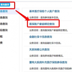深圳医保账户家庭绑定网上查询流程