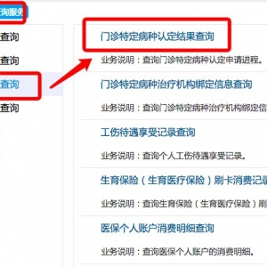 2021年深圳门诊特定病种认定结果如何查询