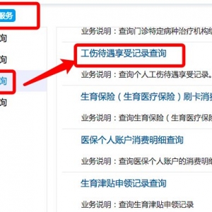 深圳工伤待遇享受记录查询入口及流程