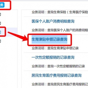 2021年深圳生育津贴申领记录如何查询