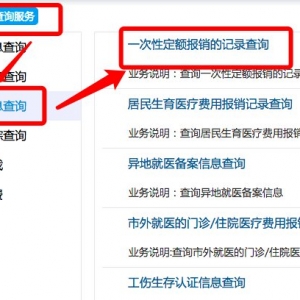 深圳医保一次性定额报销记录查询流程