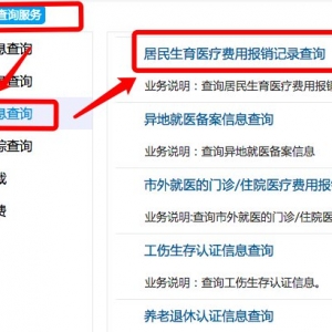 深圳居民生育医疗费用报销记录查询入口及流程