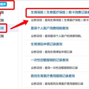 深圳生育保险刷卡记录网上查询流程