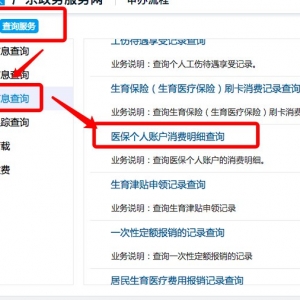 深圳医保个人账户消费记录网上查询流程