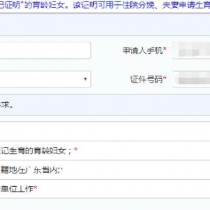 深圳一孩登记网上办理流程图解