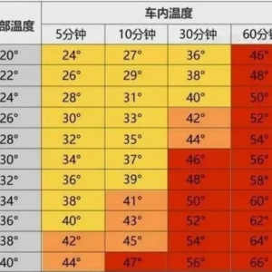 深圳3岁小女孩被锁车内身亡，这样的悲剧何时才能终止