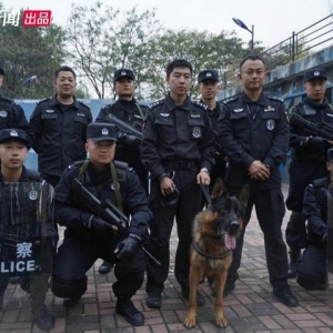 警犬微记载
片《了不得
的它》 用记载
致敬无言卫士