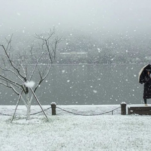 虎年新开工，南边
地域
为何暴雪连天？