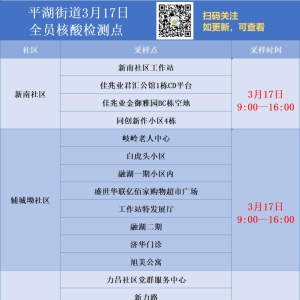 3月17日龙岗区平湖街道第二轮全员核酸检测继续