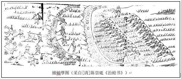 中国历史上的蝗灾与治蝗